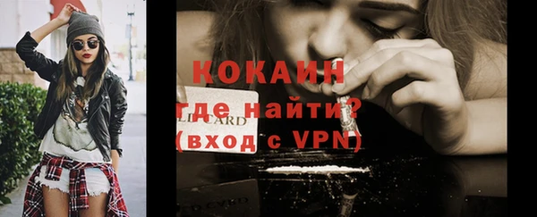 стаф Мегион