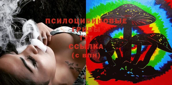 a pvp Медногорск