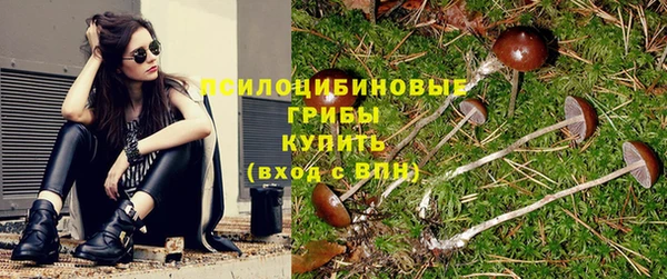 mdpv Магадан