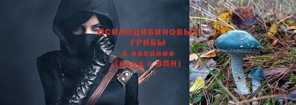 mdpv Магадан